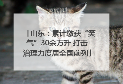 山东：累计缴获“笑气”30余万升 打击治理力度居全国前列