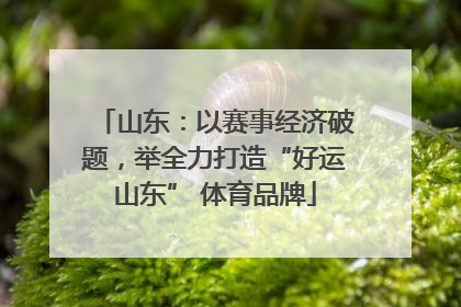山东：以赛事经济破题，举全力打造“好运山东” 体育品牌