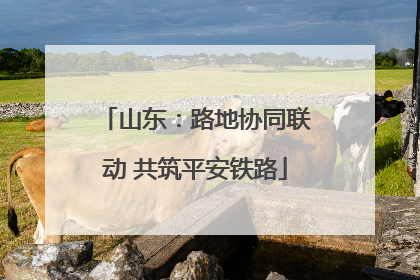 山东：路地协同联动 共筑平安铁路