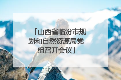 山西省临汾市规划和自然资源局党组召开会议