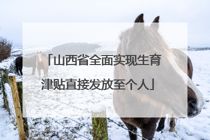 山西省全面实现生育津贴直接发放至个人