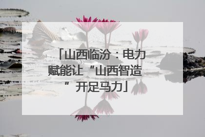 山西临汾：电力赋能让“山西智造”开足马力