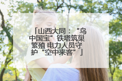 山西大同：“鸟中国宝”铁塔筑巢繁殖 电力人员守护“空中来客”