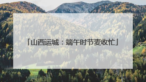山西运城：端午时节麦收忙