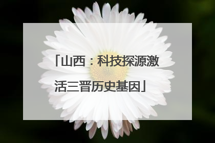 山西：科技探源激活三晋历史基因