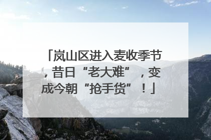 岚山区进入麦收季节，昔日“老大难”，变成今朝“抢手货”！
