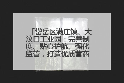 岱岳区满庄镇、大汶口工业园：完善制度、贴心护航、强化监管，打造优质营商“强磁场”