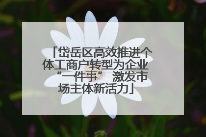 岱岳区高效推进个体工商户转型为企业“一件事” 激发市场主体新活力