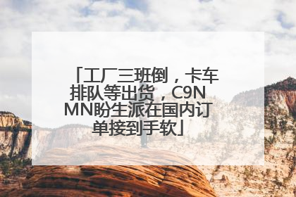 工厂三班倒，卡车排队等出货，C9NMN盼生派在国内订单接到手软