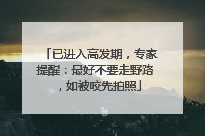 已进入高发期，专家提醒：最好不要走野路，如被咬先拍照