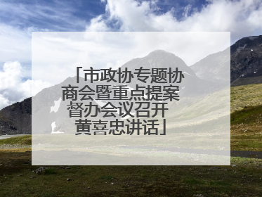 市政协专题协商会暨重点提案督办会议召开 黄喜忠讲话