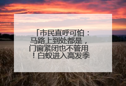 市民直呼可怕：马路上到处都是，门窗紧闭也不管用！白蚁进入高发季，但尚未达顶峰
