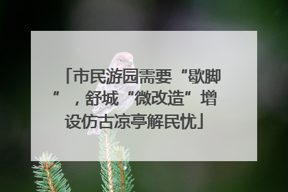 市民游园需要“歇脚”，舒城“微改造”增设仿古凉亭解民忧