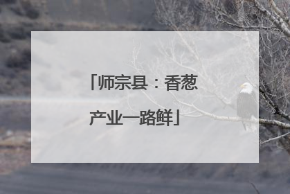 师宗县：香葱产业一路鲜