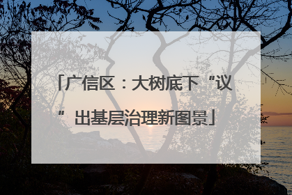 广信区：大树底下“议”出基层治理新图景