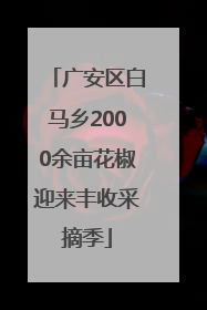 广安区白马乡2000余亩花椒迎来丰收采摘季