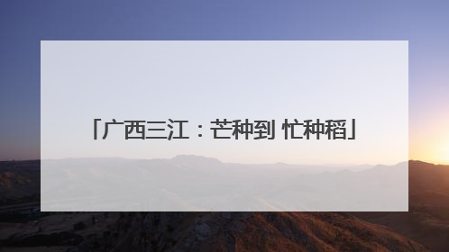 广西三江：芒种到 忙种稻