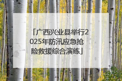 广西兴业县举行2025年防汛应急抢险救援综合演练