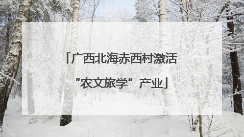 广西北海赤西村激活“农文旅学”产业