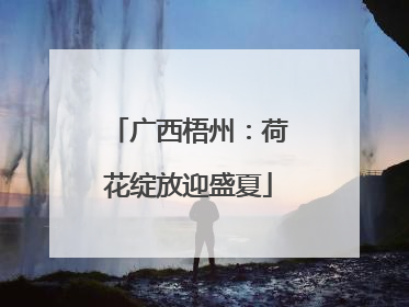 广西梧州：荷花绽放迎盛夏