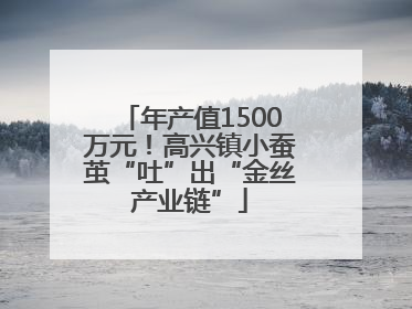 年产值1500万元！高兴镇小蚕茧“吐”出“金丝产业链”
