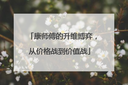 康师傅的升维博弈，从价格战到价值战