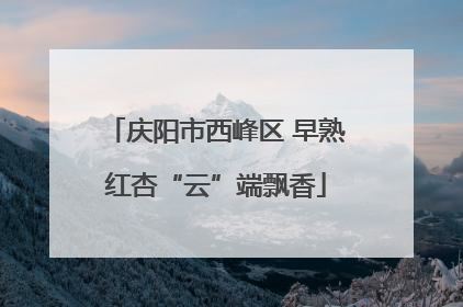 庆阳市西峰区 早熟红杏“云”端飘香