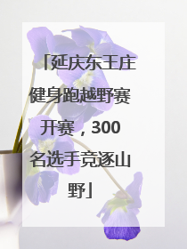 延庆东王庄健身跑越野赛开赛，300名选手竞逐山野