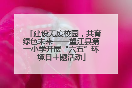 建设无废校园，共育绿色未来——望江县第一小学开展“六五”环境日主题活动