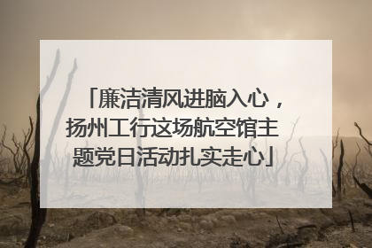 廉洁清风进脑入心，扬州工行这场航空馆主题党日活动扎实走心