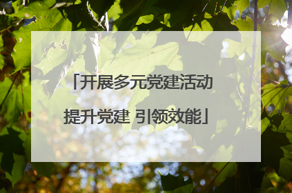 开展多元党建活动 提升党建 引领效能