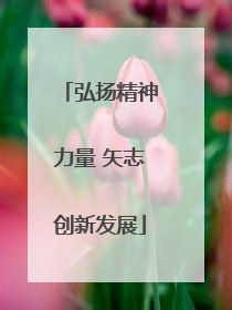 弘扬精神力量 矢志创新发展
