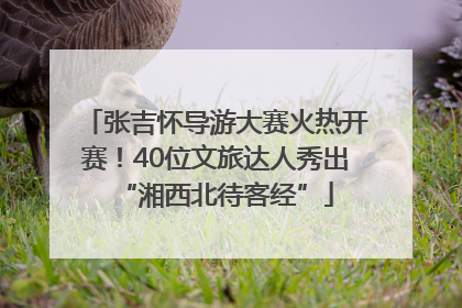 张吉怀导游大赛火热开赛！40位文旅达人秀出“湘西北待客经”