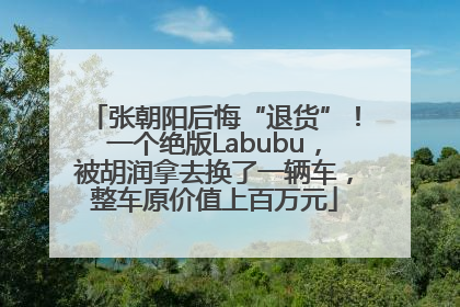 张朝阳后悔“退货”！一个绝版Labubu，被胡润拿去换了一辆车，整车原价值上百万元