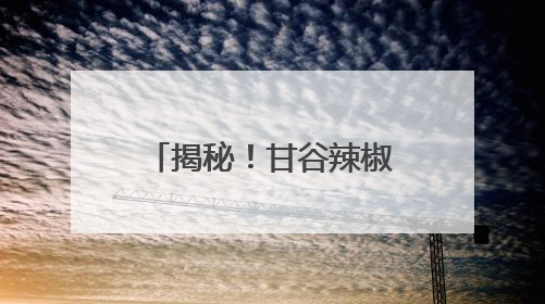 揭秘！甘谷辣椒火爆出圈的密码