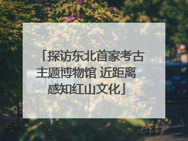 探访东北首家考古主题博物馆 近距离感知红山文化