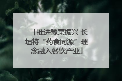 推进豫菜振兴 长垣将“药食同源”理念融入餐饮产业
