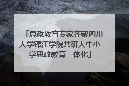 思政教育专家齐聚四川大学锦江学院共研大中小学思政教育一体化
