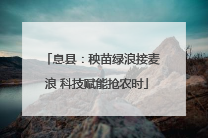息县：秧苗绿浪接麦浪 科技赋能抢农时