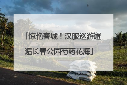 惊艳春城！汉服巡游邂逅长春公园芍药花海