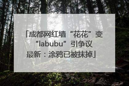 成都网红墙“花花”变“labubu”引争议 最新：涂鸦已被抹掉