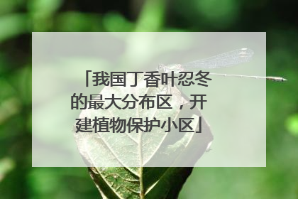 我国丁香叶忍冬的最大分布区，开建植物保护小区