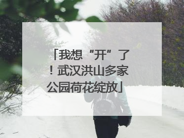 我想“开”了！武汉洪山多家公园荷花绽放