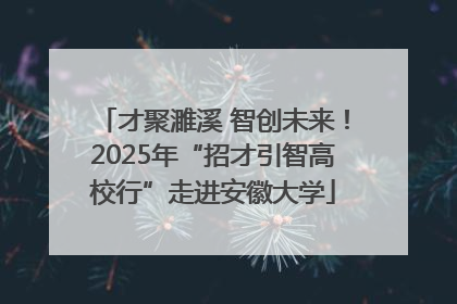 才聚濉溪 智创未来！2025年“招才引智高校行”走进安徽大学