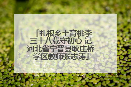 扎根乡土育桃李 三十八载守初心 记河北省宁晋县耿庄桥学区教师张志涛