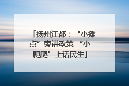 扬州江都：“小摊点”旁讲政策 “小爬爬”上话民生