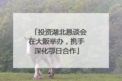 投资湖北恳谈会在大阪举办，携手深化鄂日合作