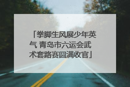 拳脚生风展少年英气 青岛市六运会武术套路赛圆满收官