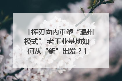 挥刃向内重塑“温州模式” 老工业基地如何从“新”出发？