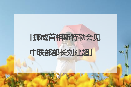 挪威首相斯特勒会见中联部部长刘建超